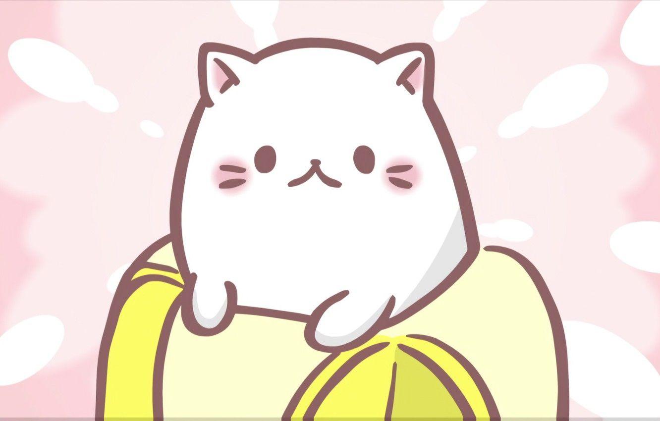 1332x850 Wallpaper kitty, kitty, cutie image for desktop, section арт