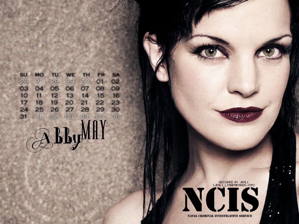 1024x768 NCIS vs. CSI image ncis HD wallpaper and background photo