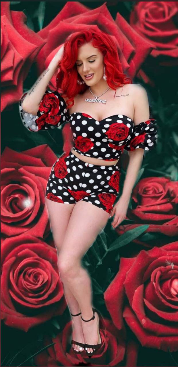 620x1280 Rose Justina wallpaper