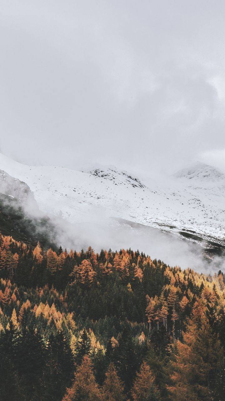 720x1280 aesthetic scenery wallpaper