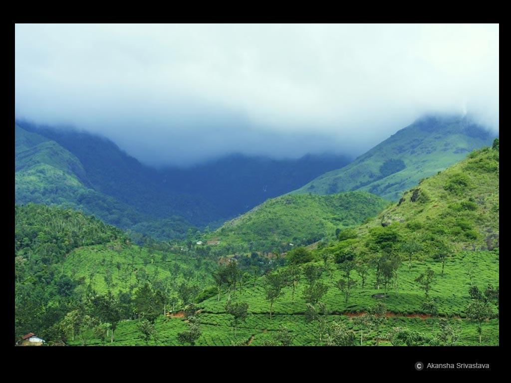 Wayanad Wallpapers - Top Free Wayanad Backgrounds - WallpaperAccess