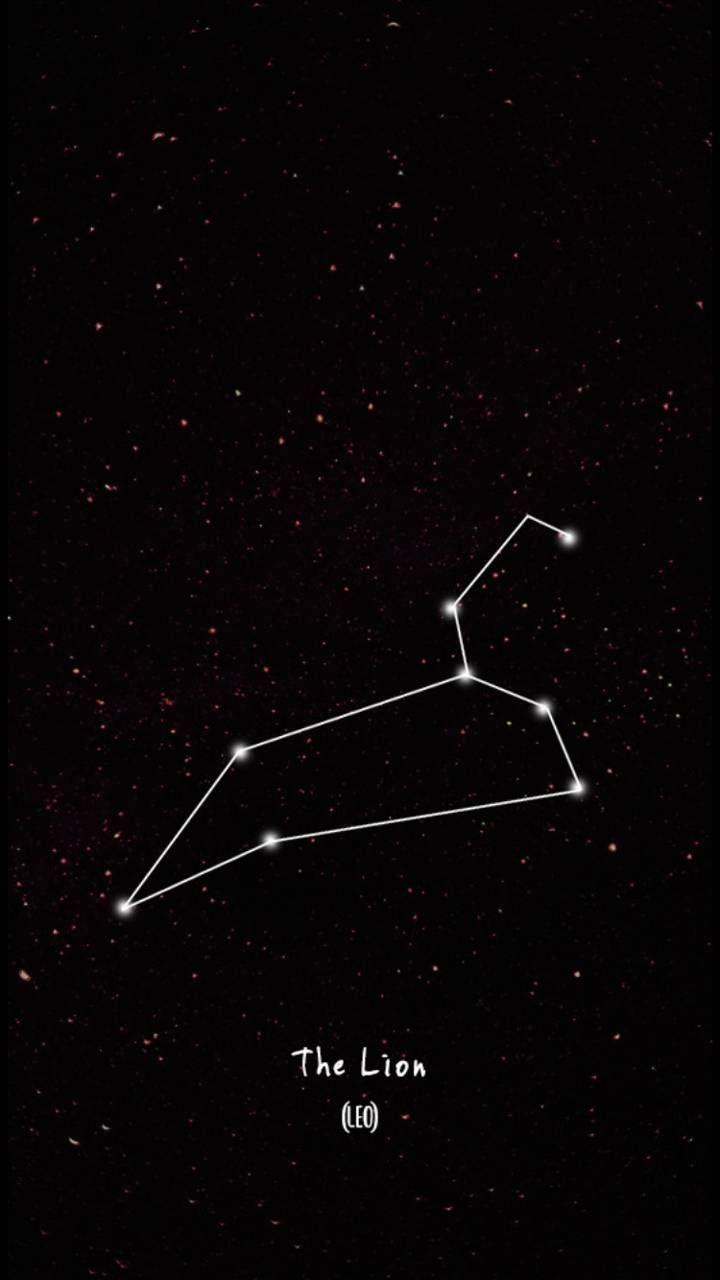 720x1280 4k Leo wallpaper