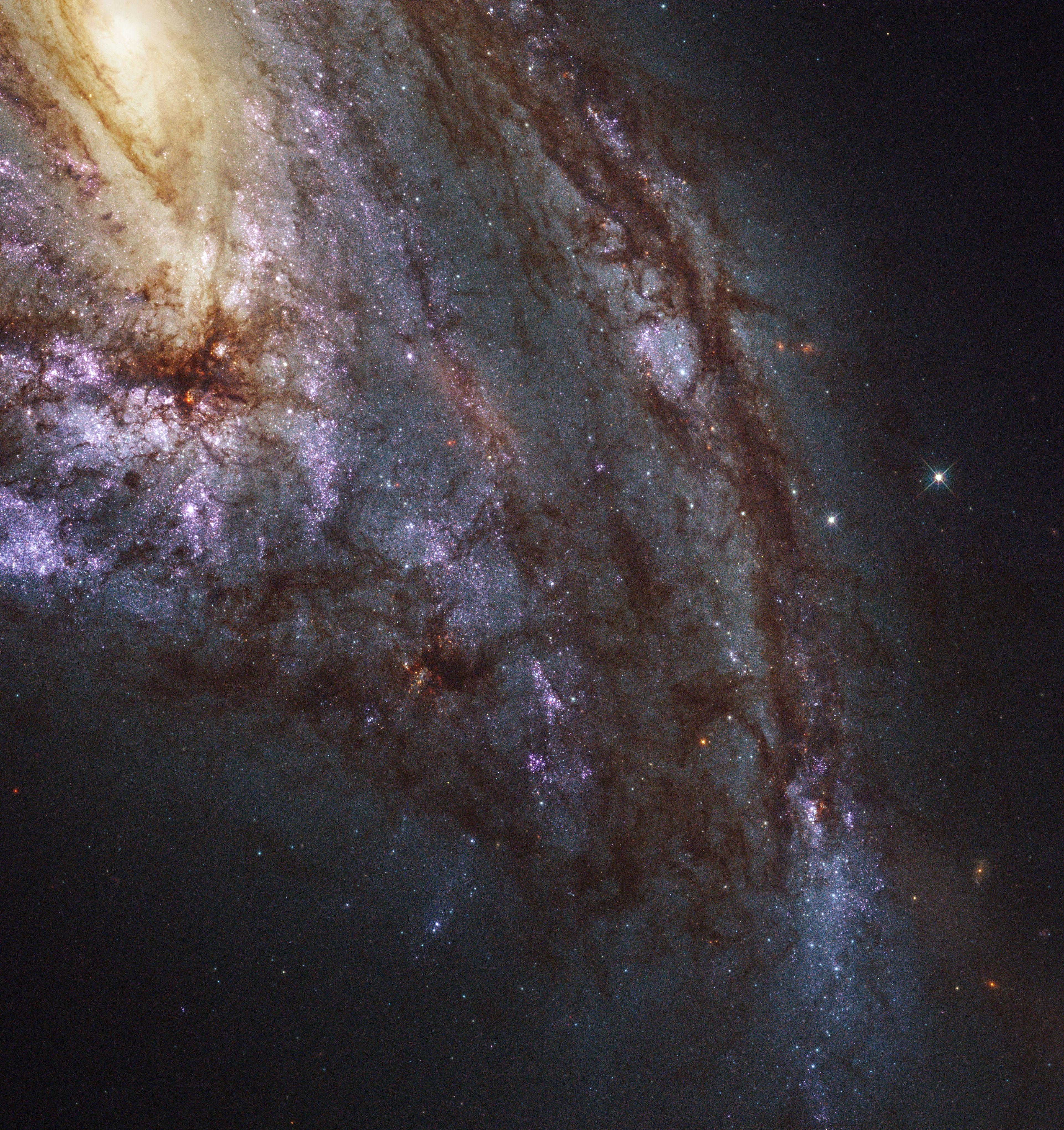 3843x4080 Messier 66