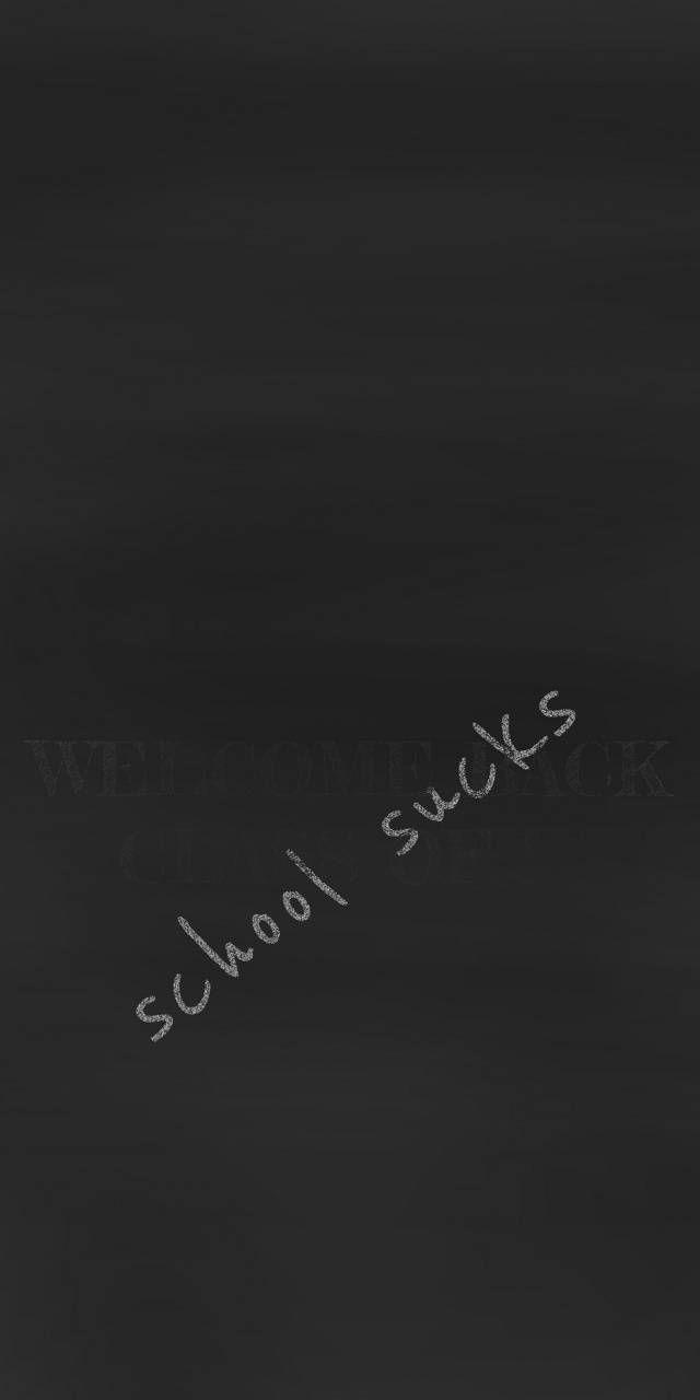 640x1280 School Sucks wallpaper