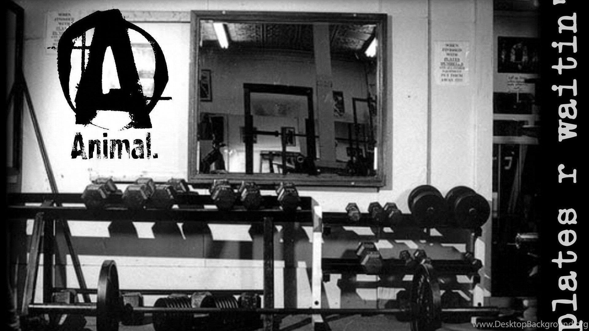 1920x1080 Weight Lifting Wallpaper Desktop Background