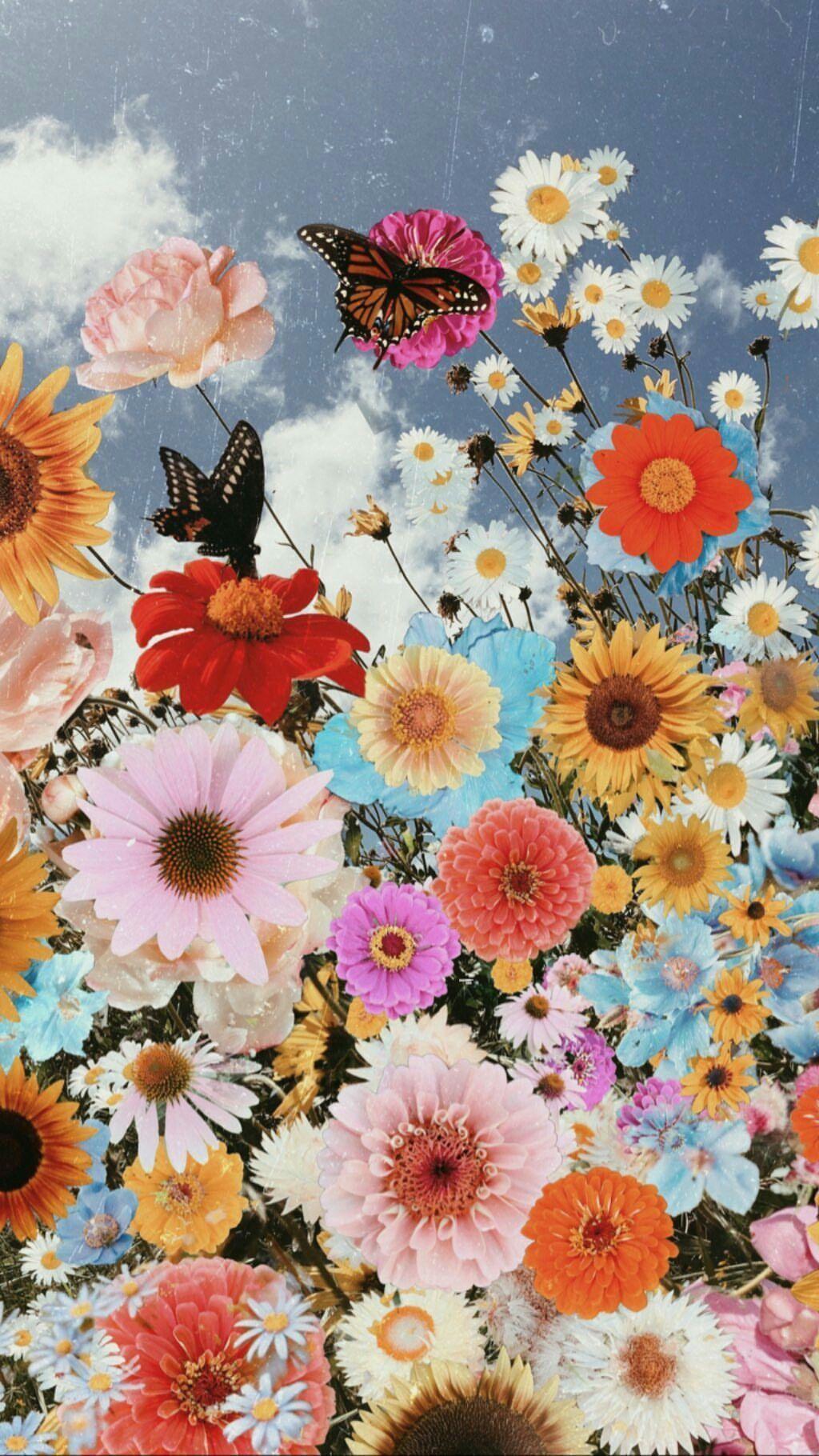 Collage Flower iPhone Wallpapers - Top Free Collage Flower iPhone ...