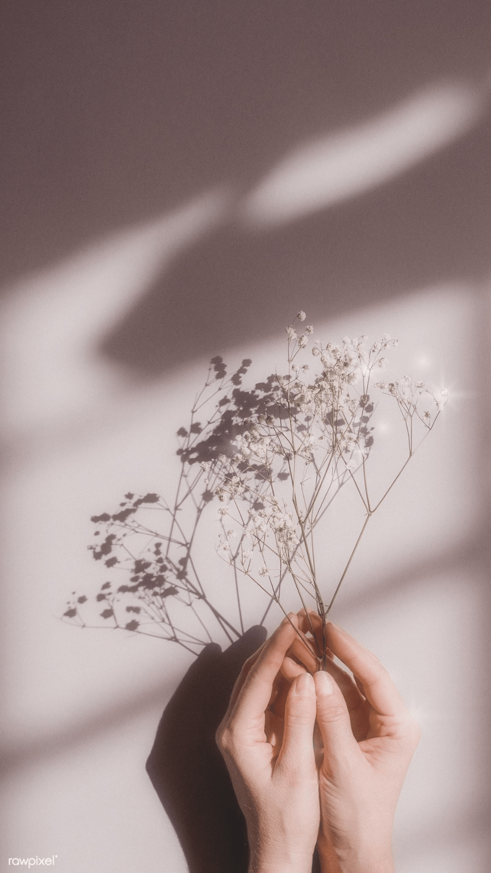 1000x1777 white baby flower #ikeart #iphone wallpaper aesthetic pastel #Twitter. Aesthetic background, Aesthetic collage, Aesthetic pastel wallpaper