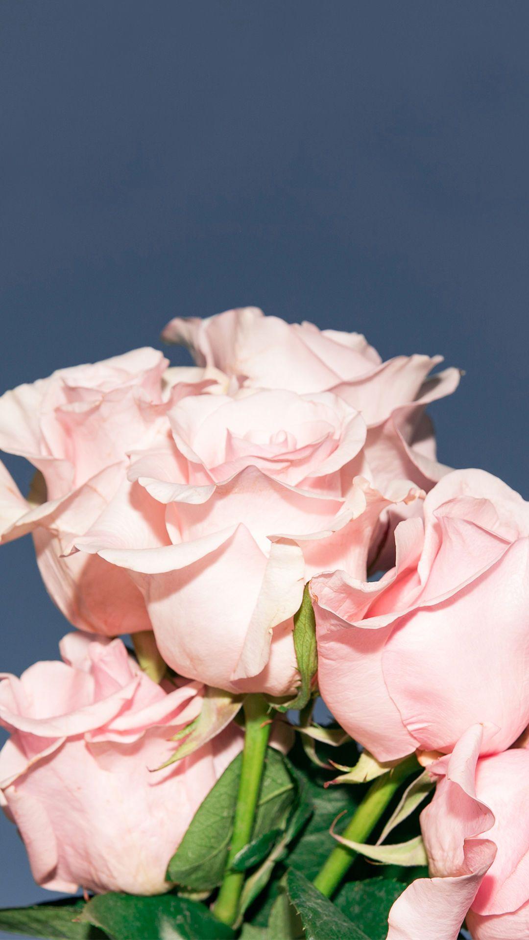 1080x1920 Phone background. Cool wallpaper for your phone, Pink wallpaper iphone, Peach aesthetic