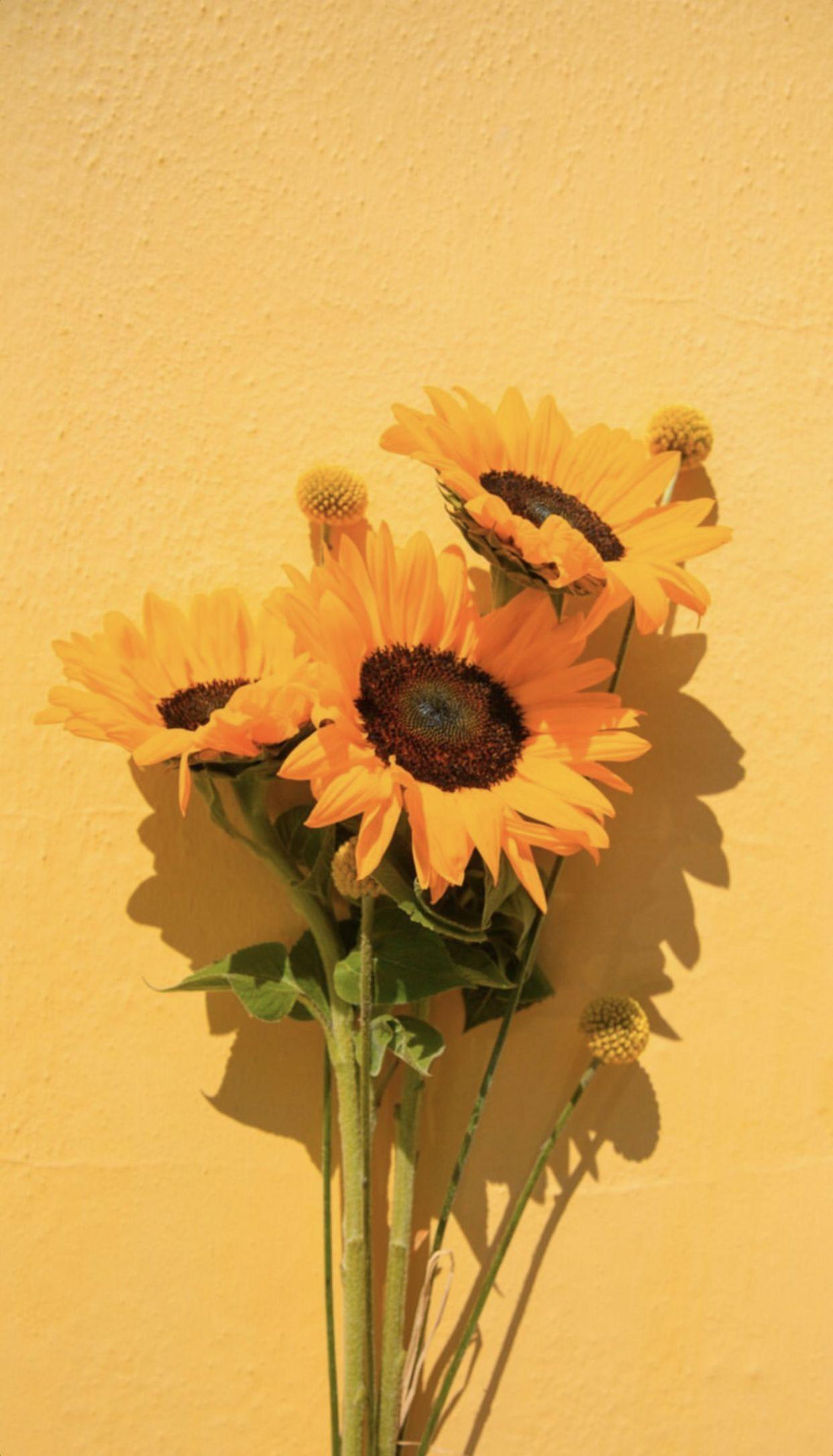 1242x2169 Yellow summer. Sunflower wallpaper, iPhone wallpaper yellow, Yellow aesthetic pastel