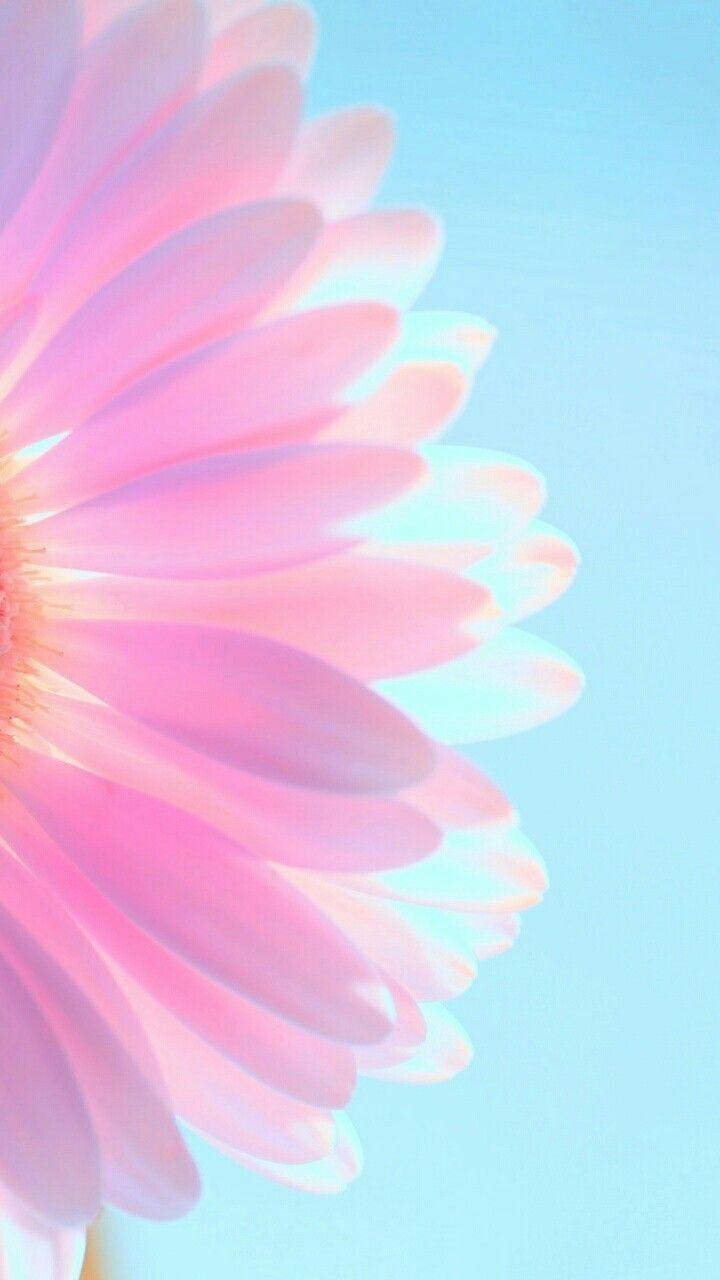720x1280 iPhone wallpaper