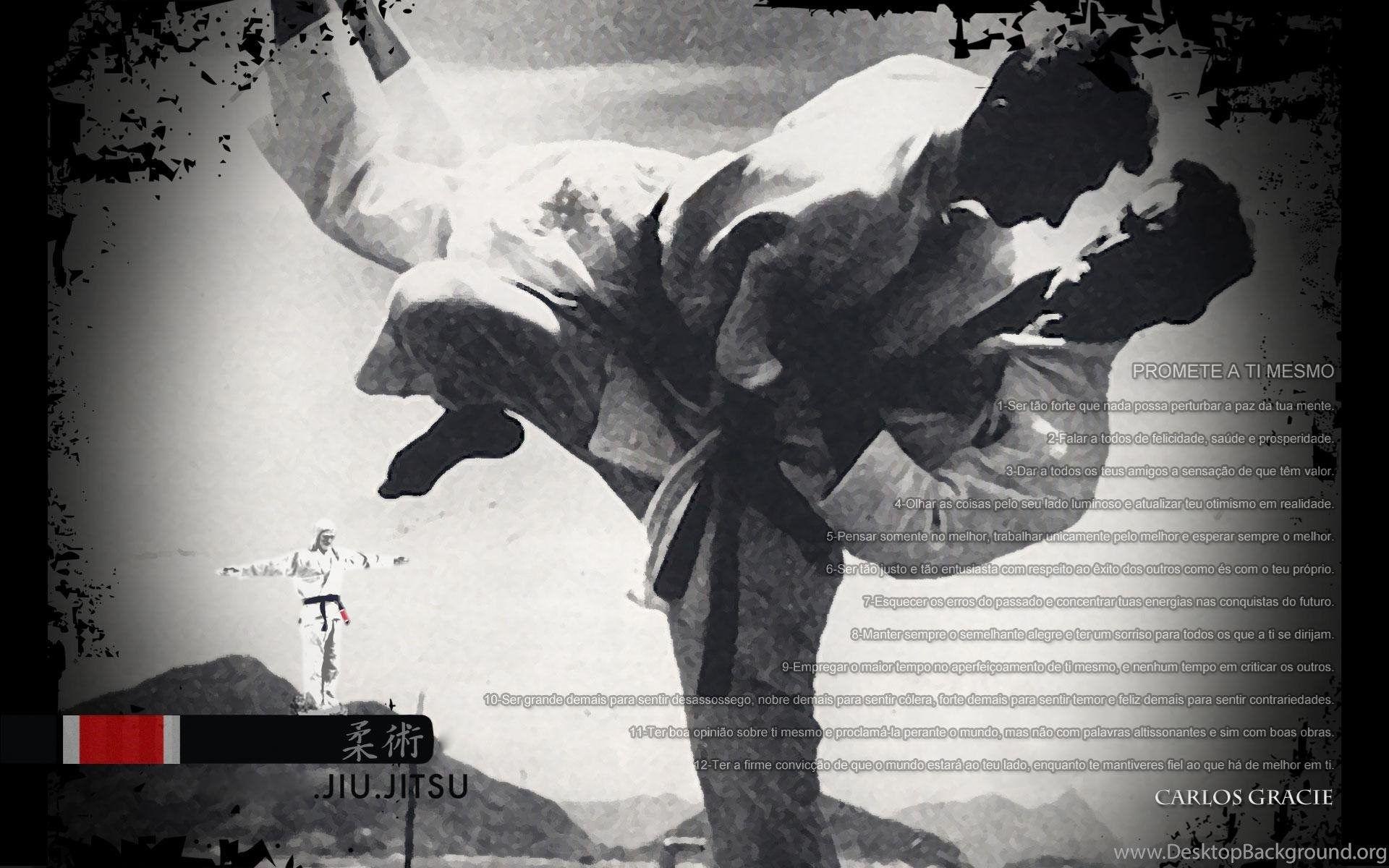 1920x1200 Brazilian Jiu Jitsu Wallpaper Wallpaper Zone Desktop Background