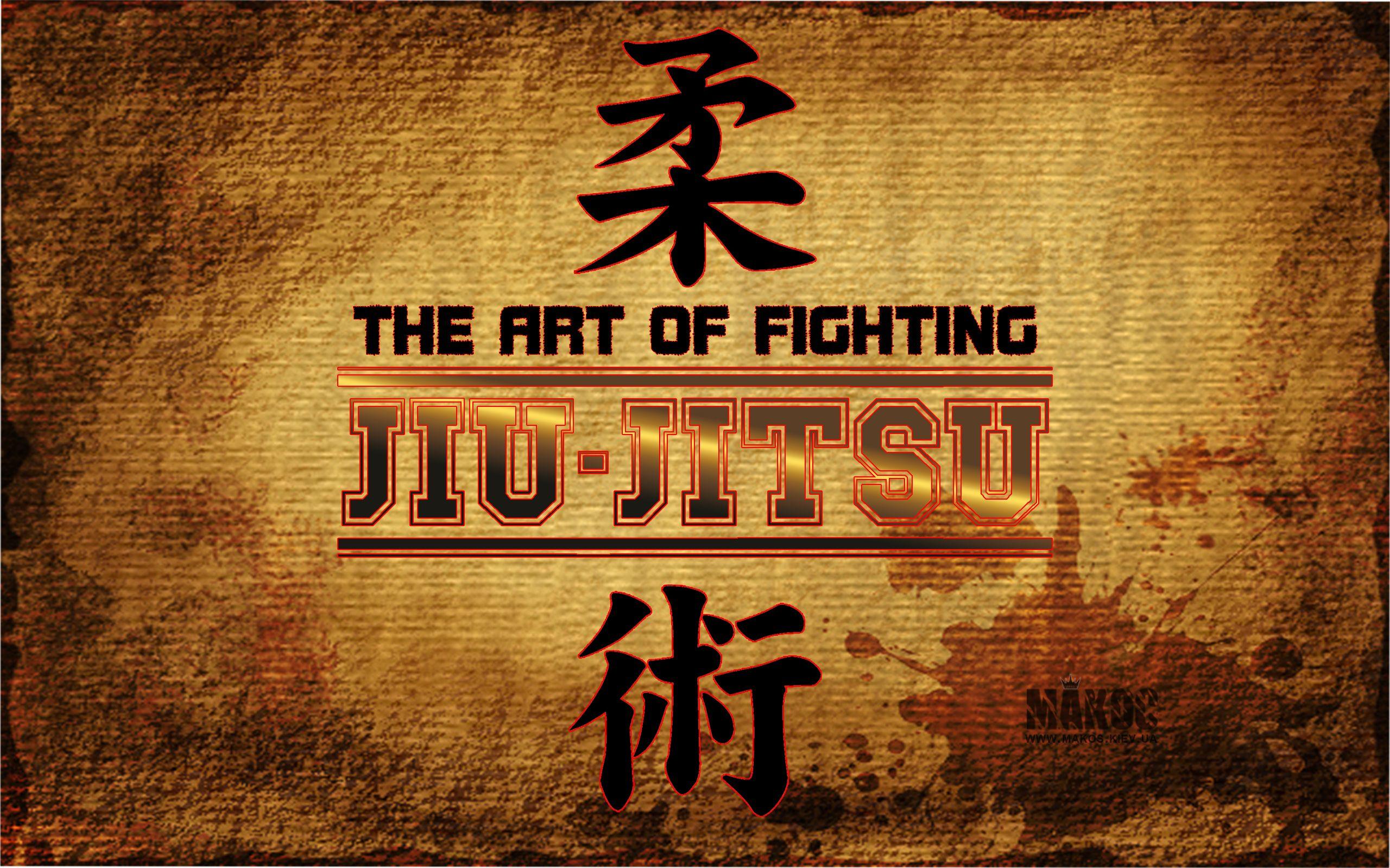 2560x1600 Gracie Jiu Jitsu Wallpaper