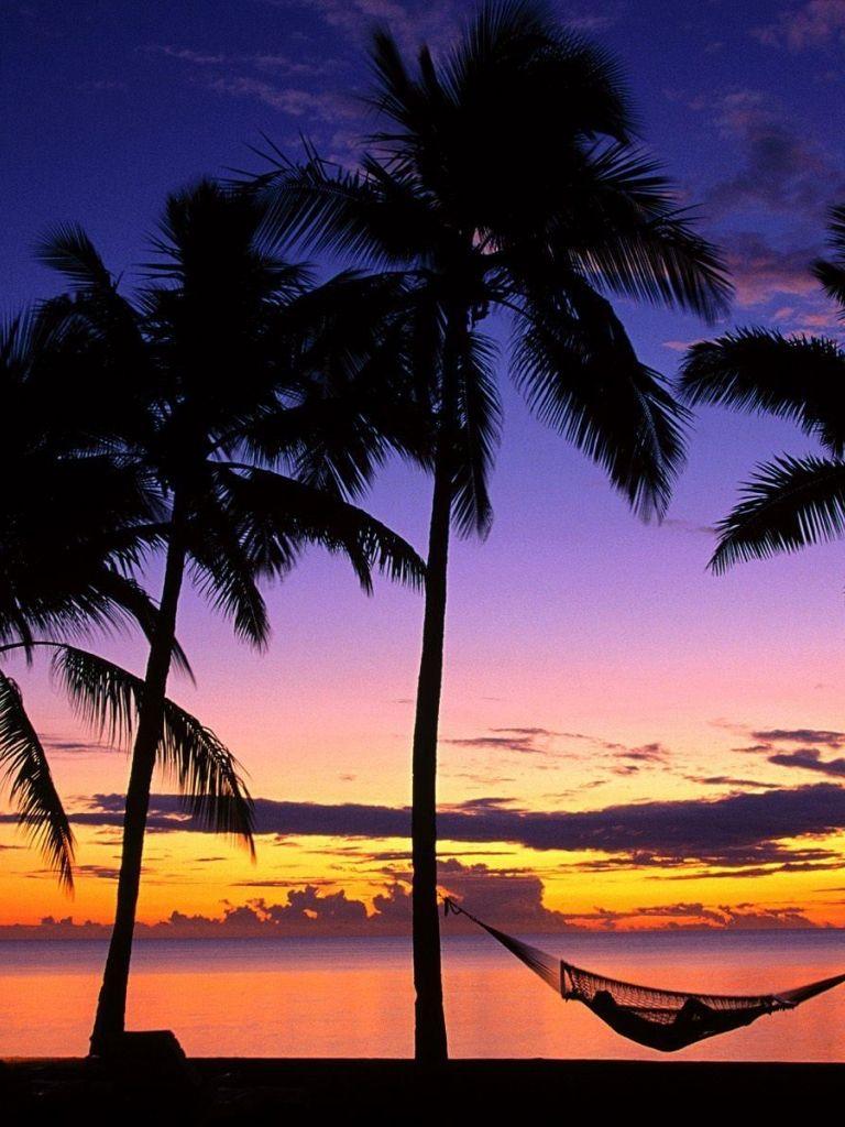 768x1024 Free download Palm Tree Wallpaper and Background Image stmednet [1600x1200] for your Desktop, Mobile & Tablet. Explore Palm Trees Wallpaper. Palm Trees Wallpaper, Palm Trees Wallpaper, Wallpaper Palm Trees