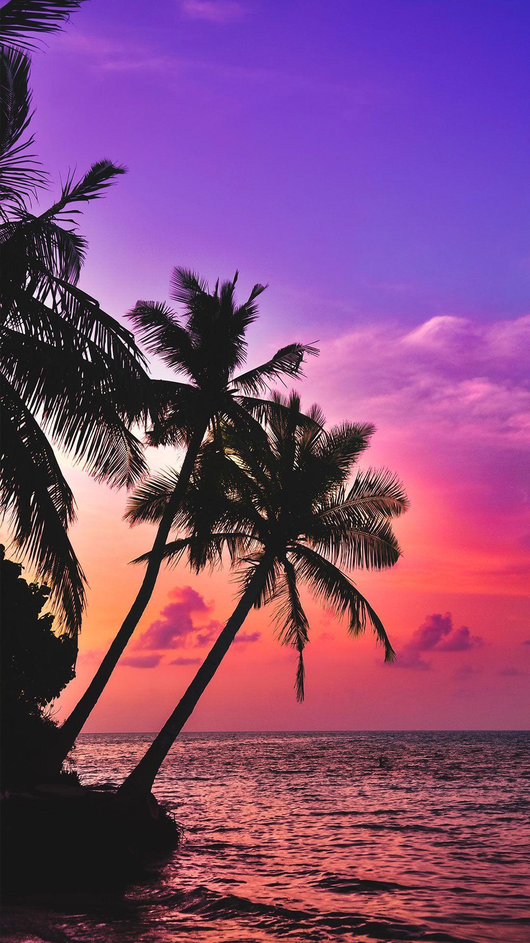 1080x1920 (Free) Beach Wallpaper for Your Phone & Desktop. Palm tree sunset, Evening sky, Sunset wallpaper