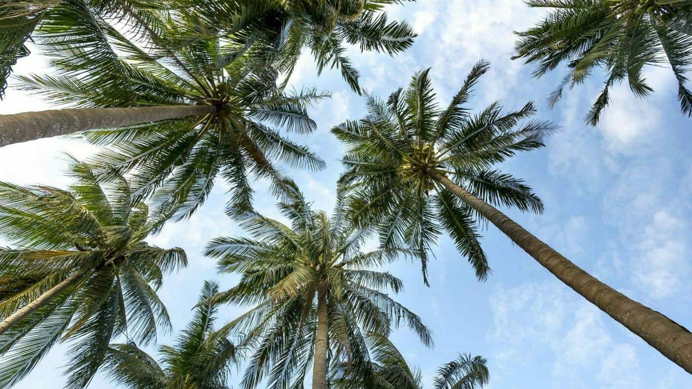 1400x788 (HD) Beach Wallpaper For Your .