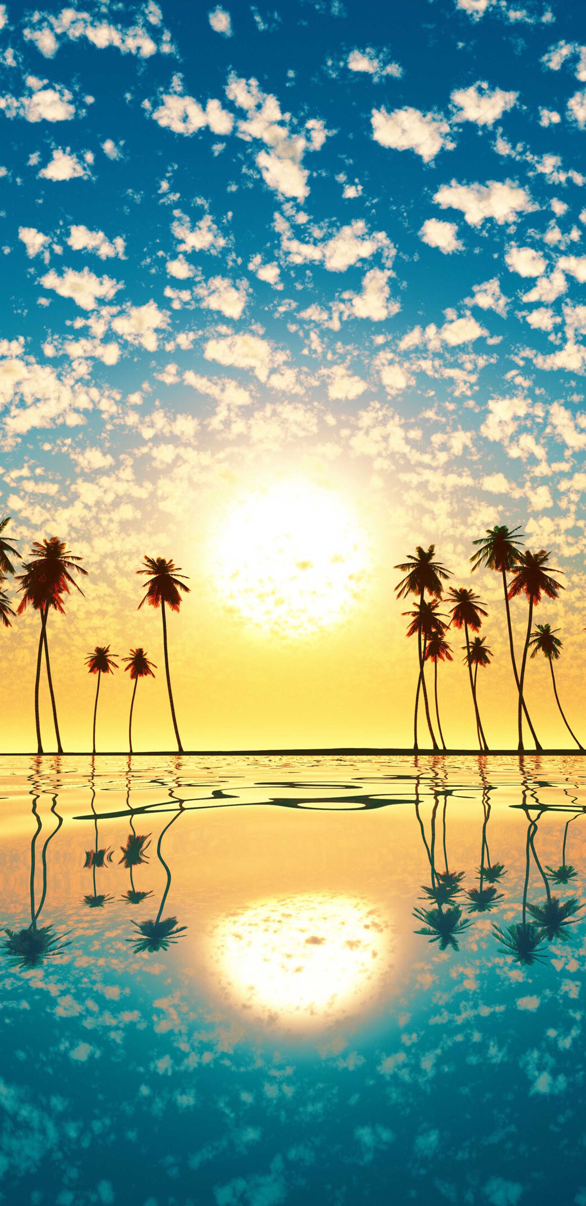 1960x4032 Sunset Palm Tree Cloud Sky Reflection 4K Ultra HD Mobile Wallpaper
