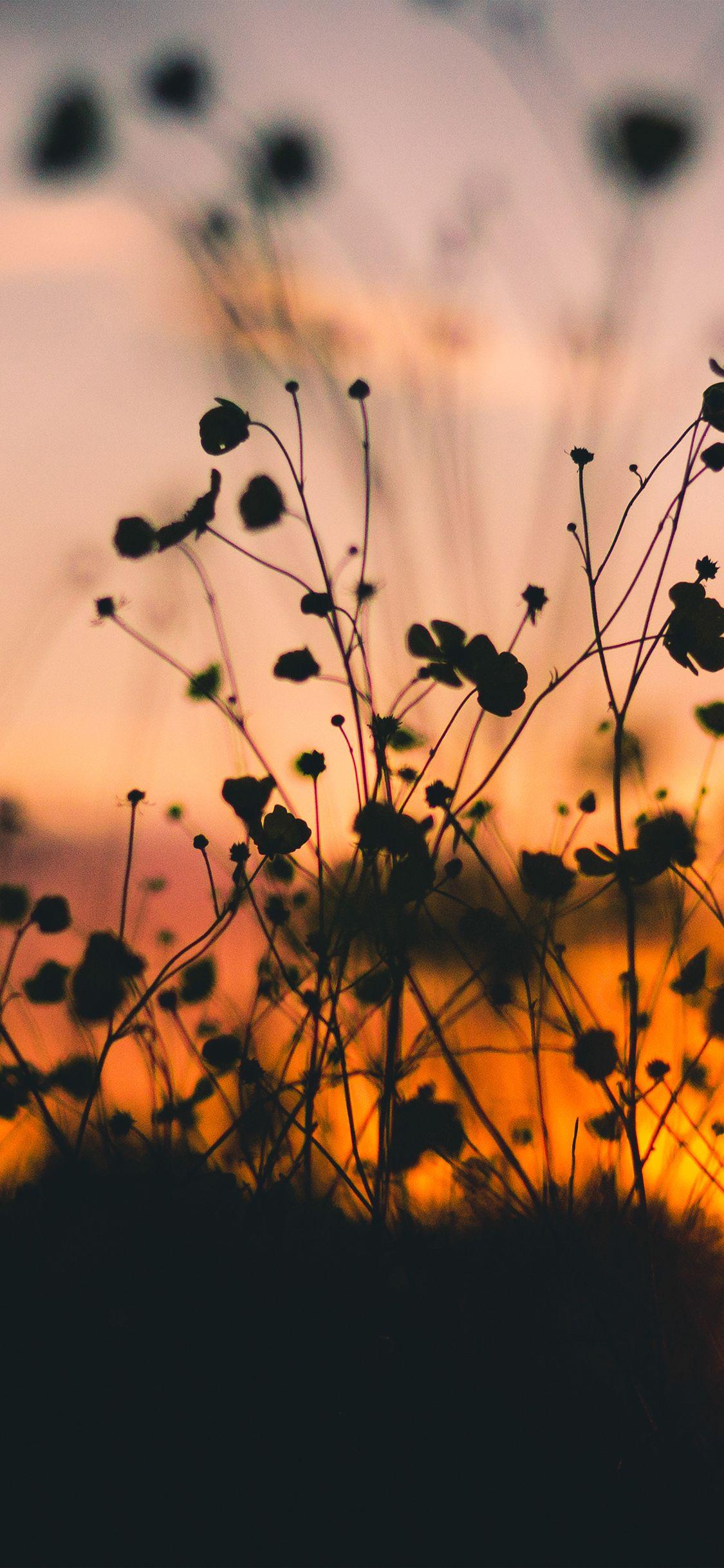 1125x2436 Night Nature Flower Sunset Dark Shadow