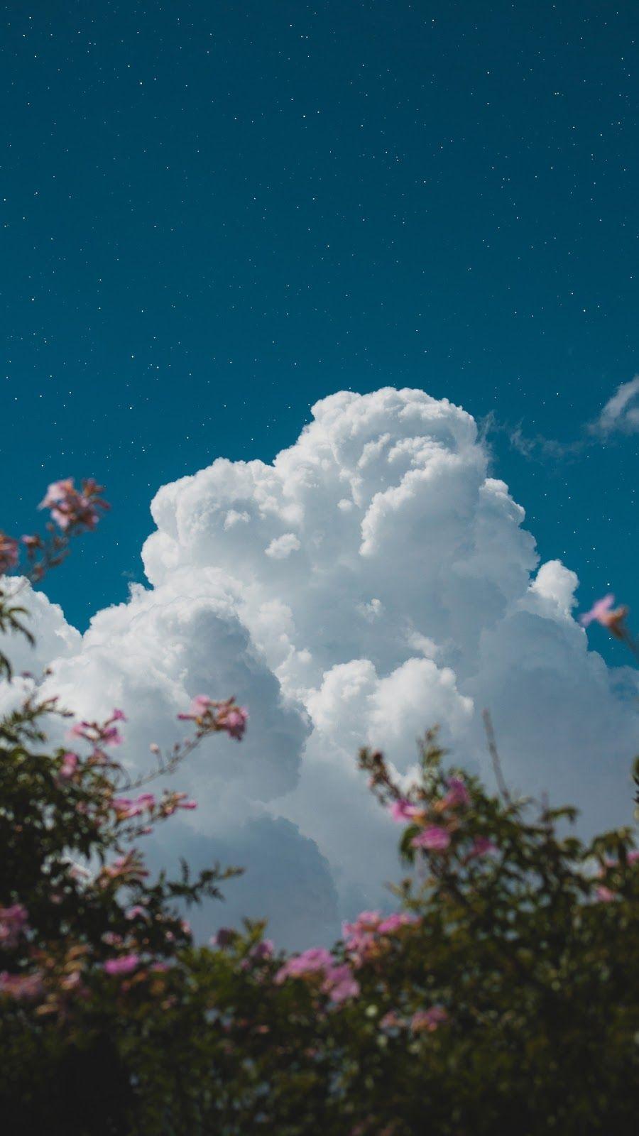900x1600 Flower under night sky #wallpaper #iphone #android #background #followme. Sky aesthetic, Night sky photography, Night sky wallpaper