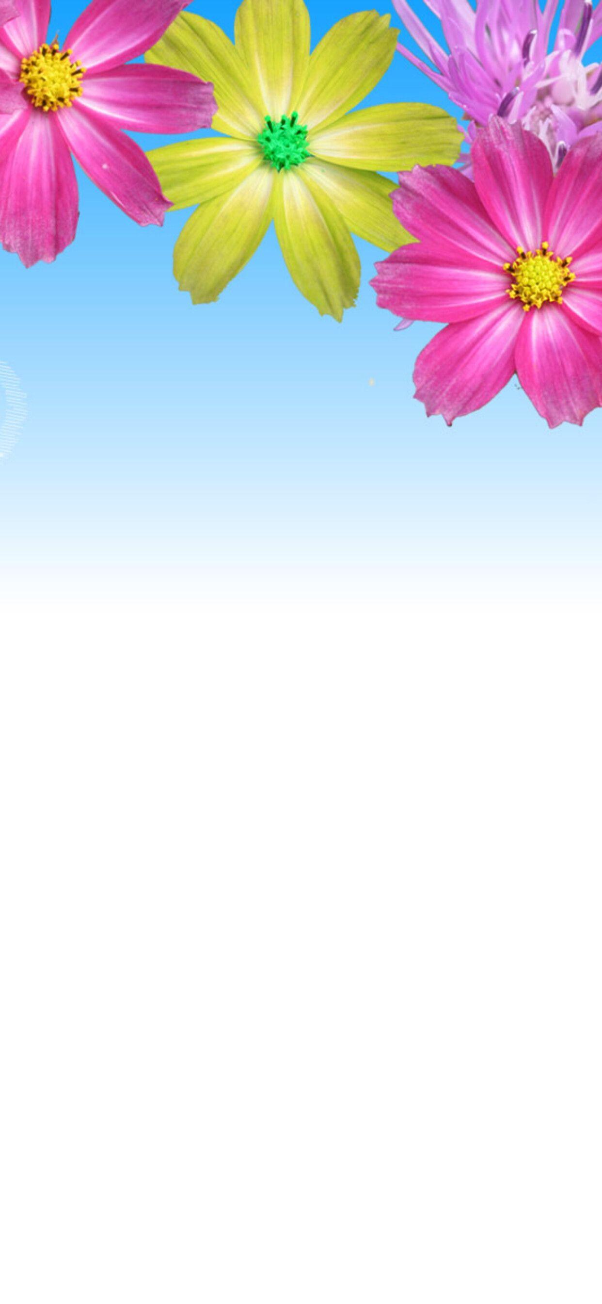 1242x2688 Heart on the blue sky power wallpaper