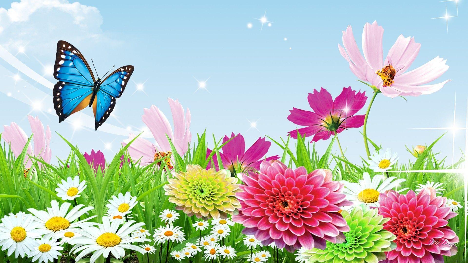 1920x1080 Spring Butterfly Wallpaper Spring Butterfly Wallpaper Garden Garden Background, Download Wallpaper