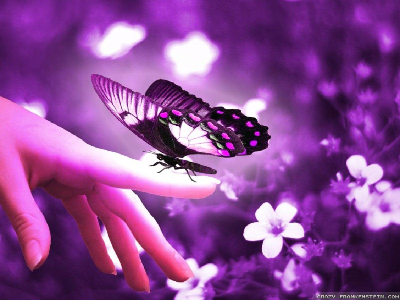1600x1200 Flowers and Butterflies wallpaper