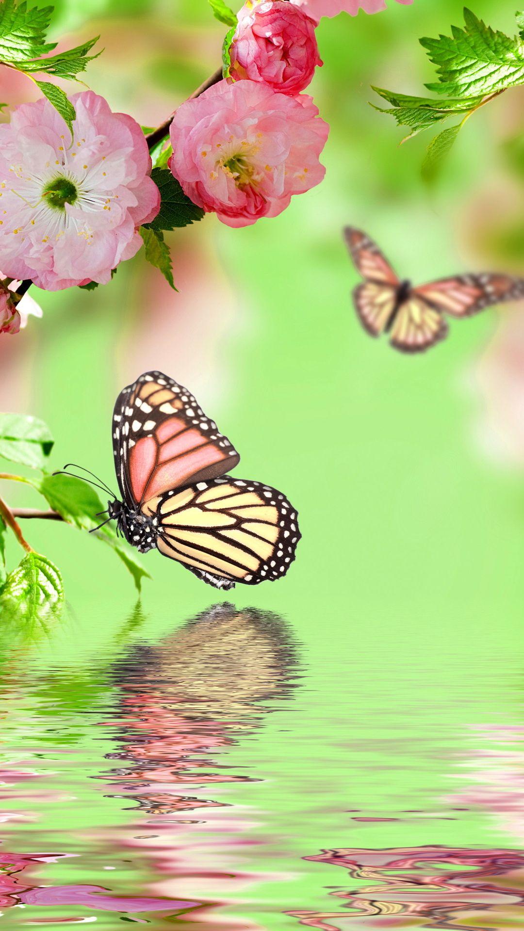 1080x1920 reflection, spring, pink, water, spring, flowers, bloom, butterflies, blossom desktop wallpaper 9048