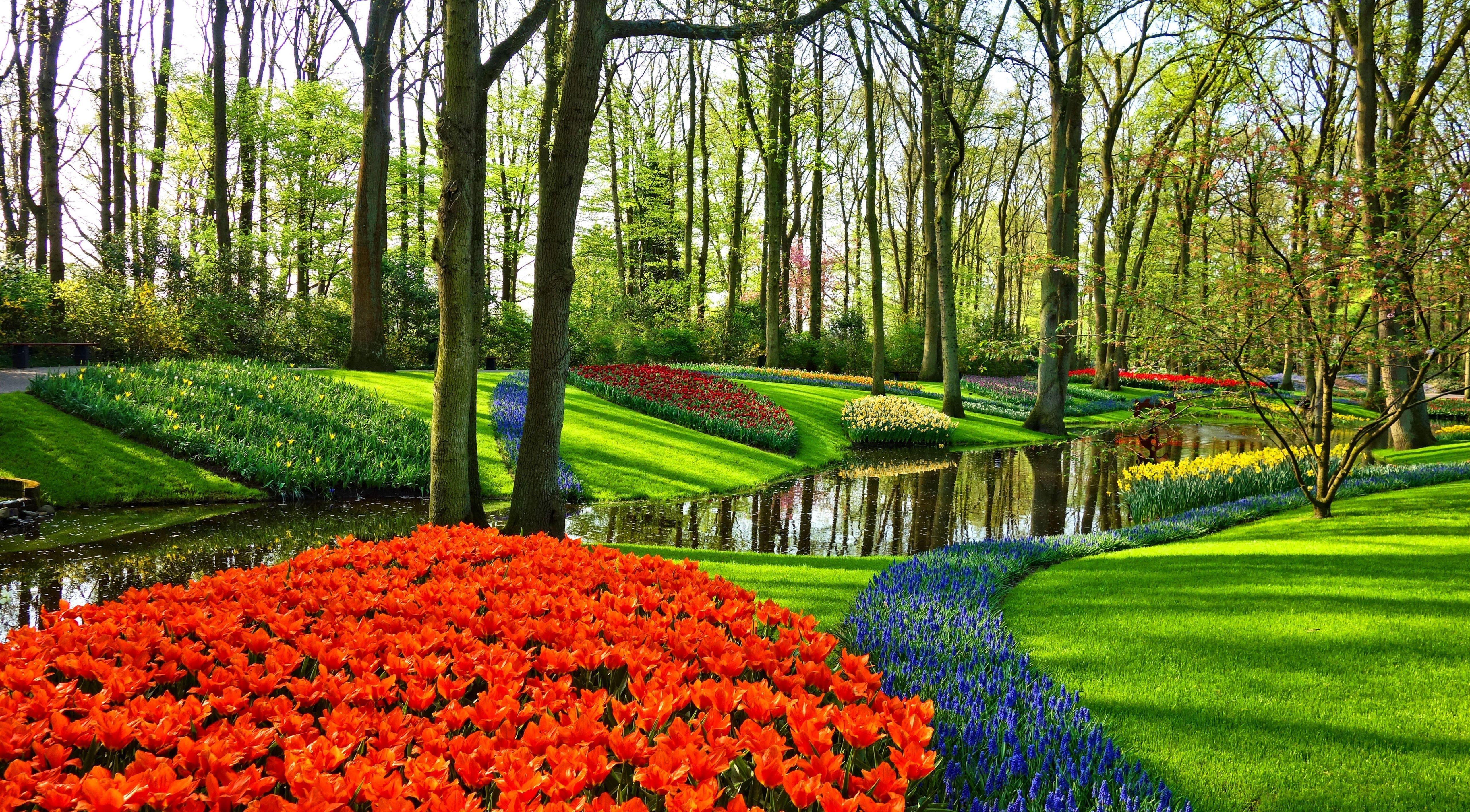 5120x2830 Spring Holland Wallpaper