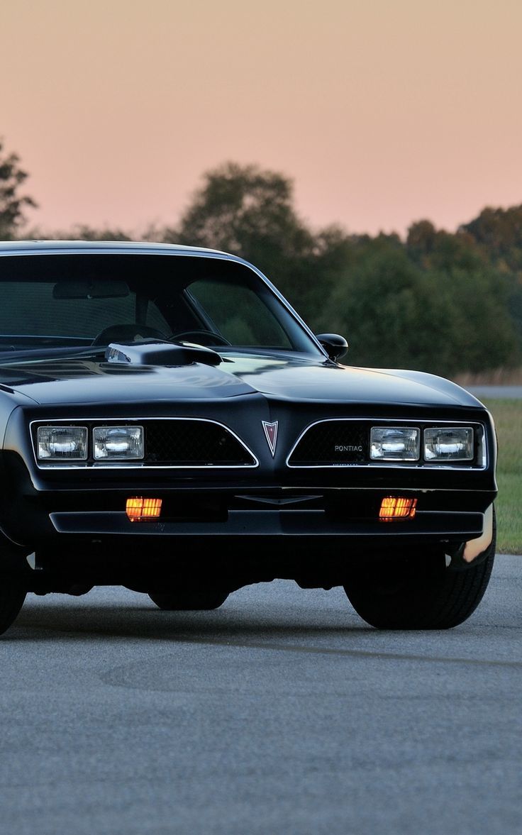 736x1177 Wallpaper pontiac firebird trans am ws6