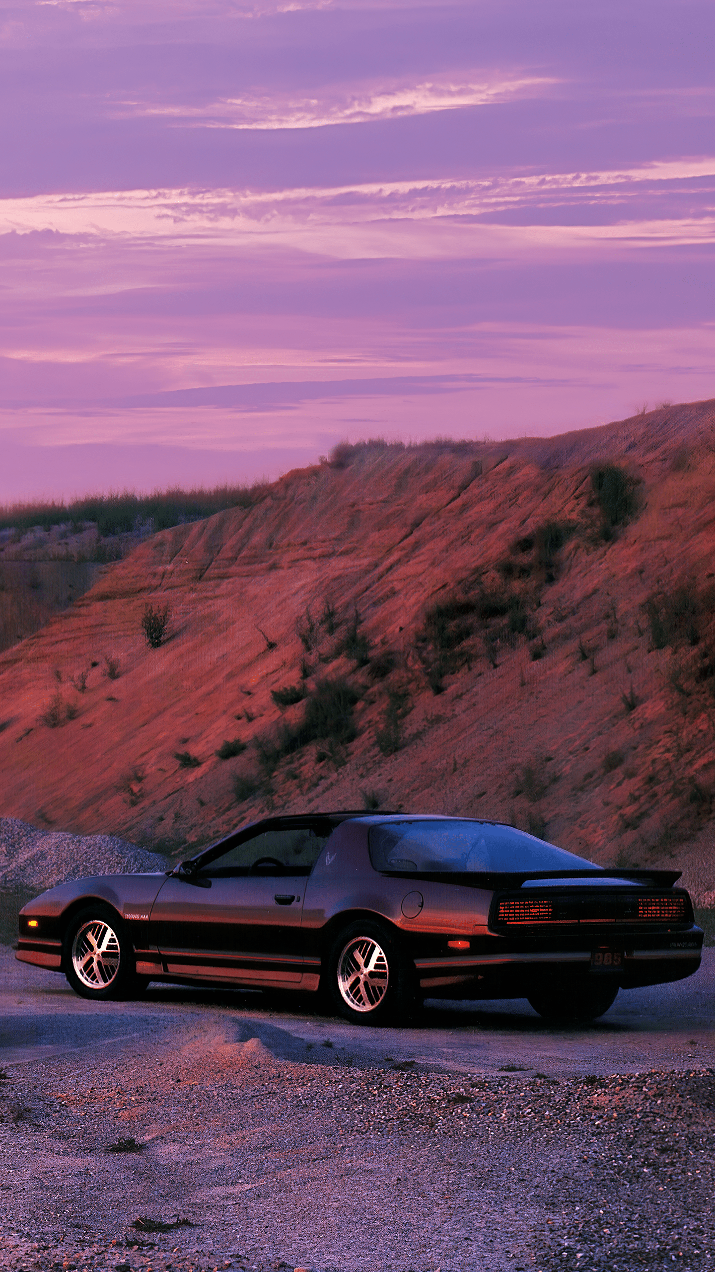 1440x2560 Pontiac Firebird Trans Am, 1985 Promo [3840x2160]