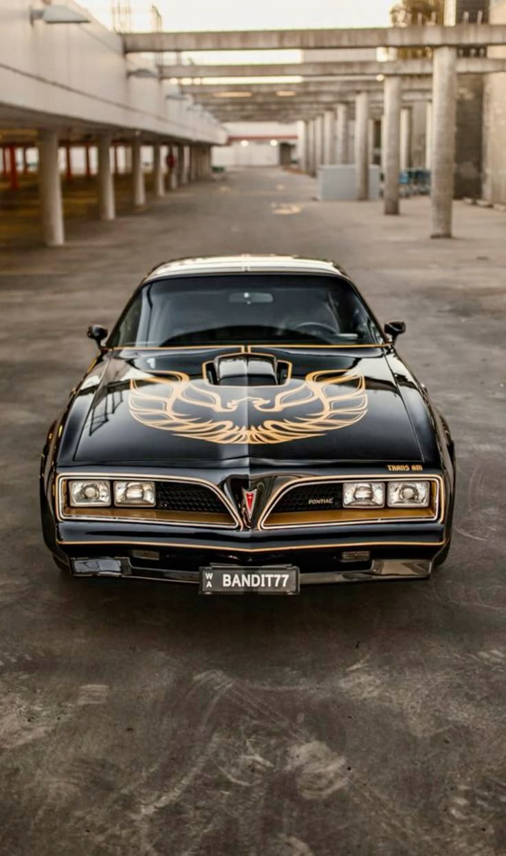 736x1243 Pontiac Firebird Trans Am