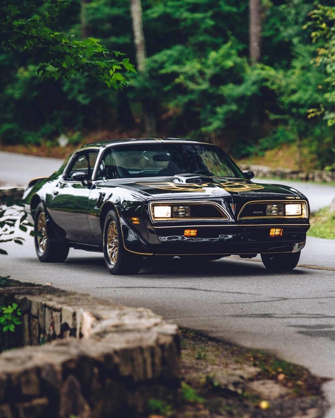 1080x1346 Firebird Trans am ❤️