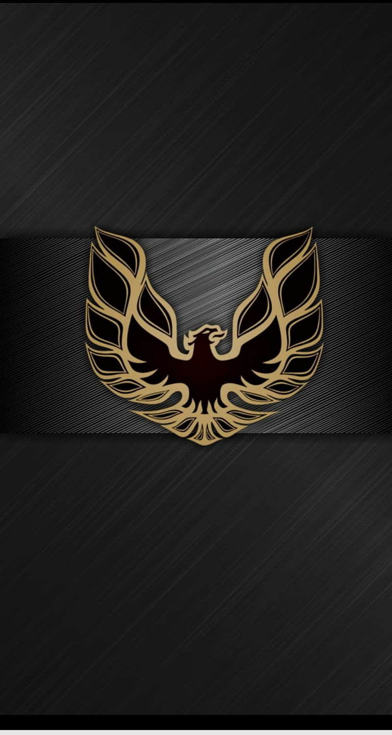 800x1501 Trans am, pontiac, HD phone wallpaper