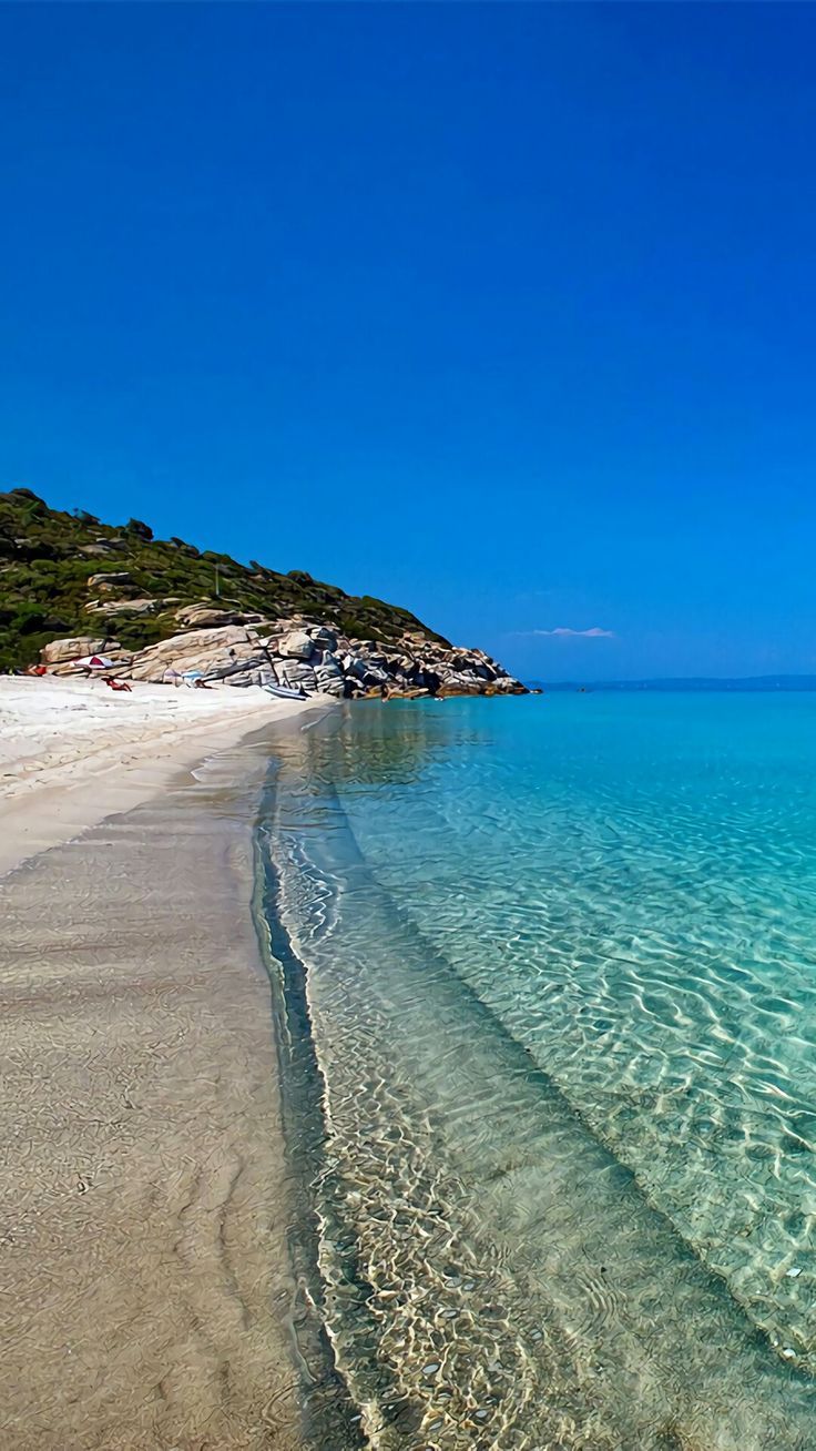 736x1308 Summer Shore
