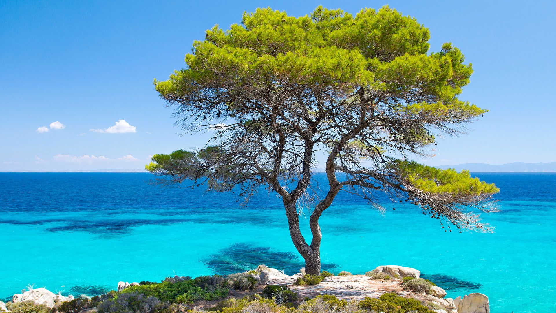 1920x1080 Culture, Nature & History Archives holidays guide