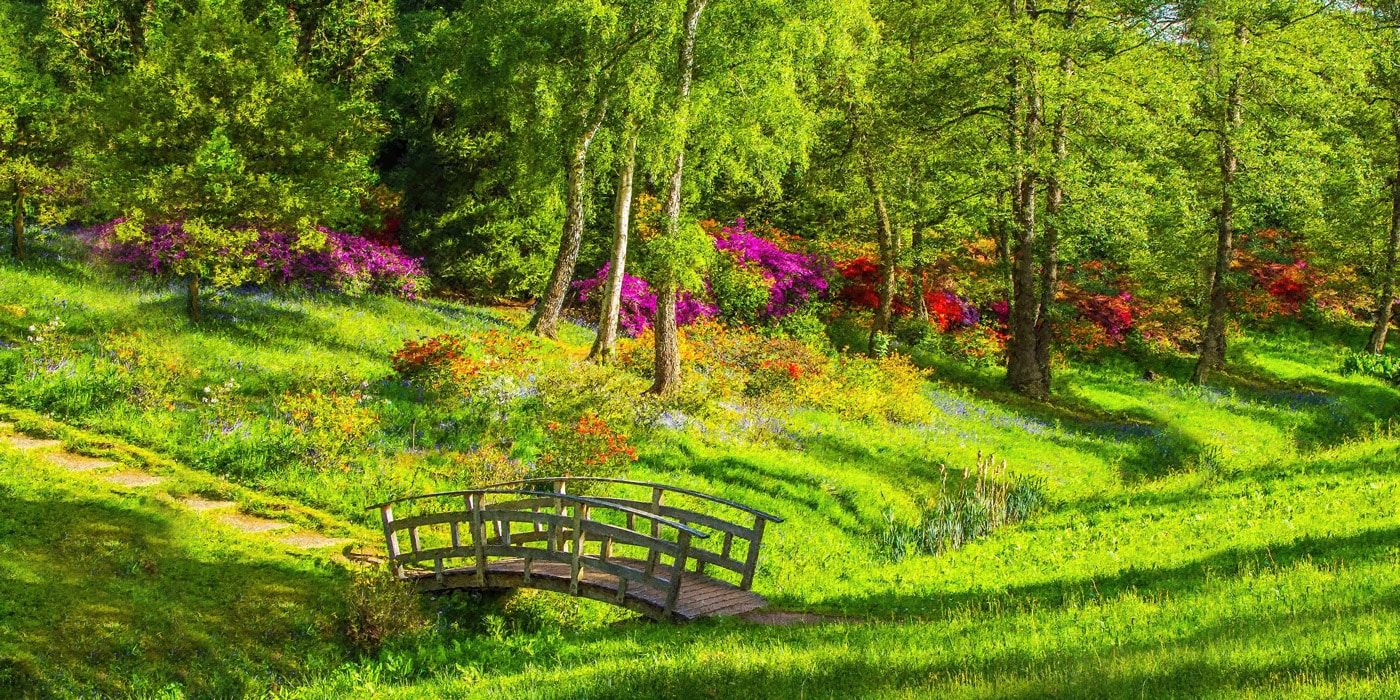 1400x700 Wall Mural Garden Wallpaper Mural Wall Mural