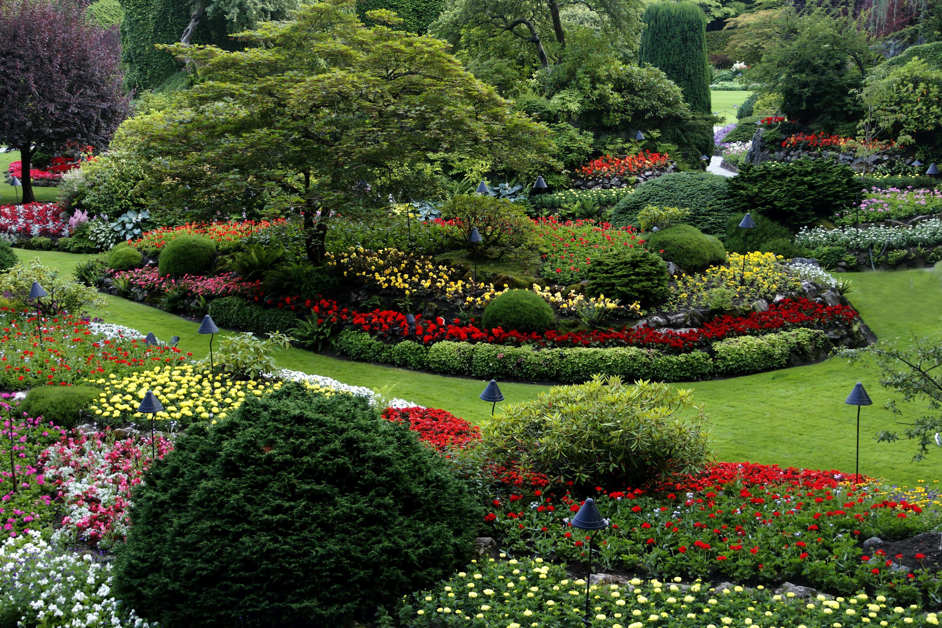 3000x2000 Garden Wallpaper Picture. Download Free Image