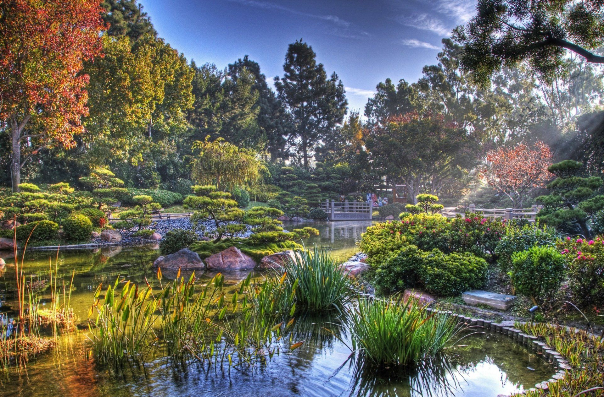 1920x1264 Zen Sunbeam Serenity: Japan's Autumn Garden in 4K Ultra HDx2766