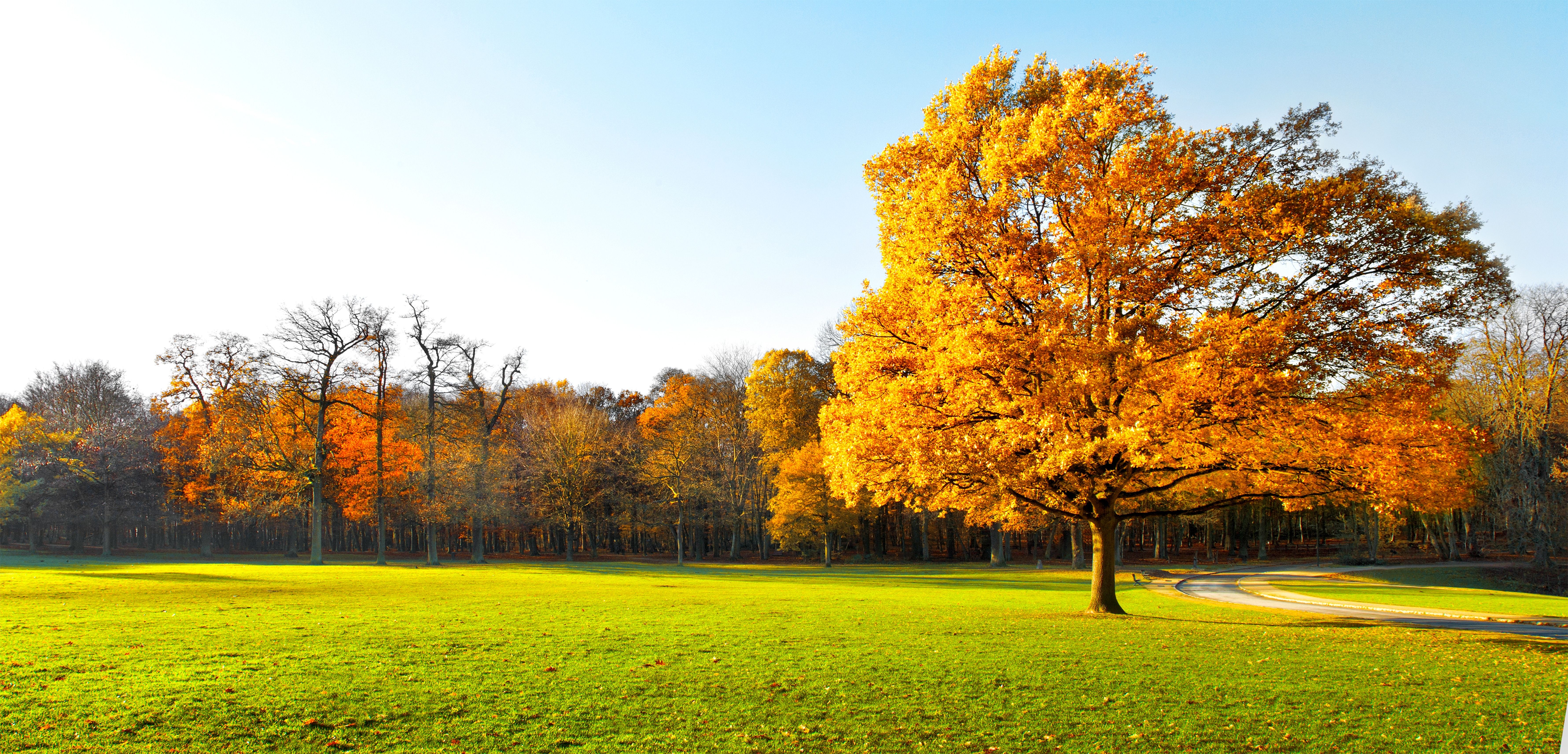 7124x3426 4k Gardens Wallpaper
