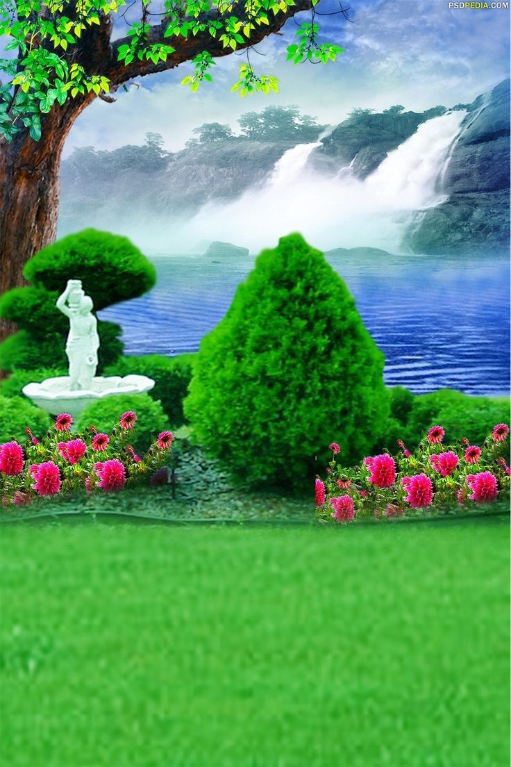736x1104 Nature Background Image for Photography. Nature photohoot background, Studio photo background, Garden HD background