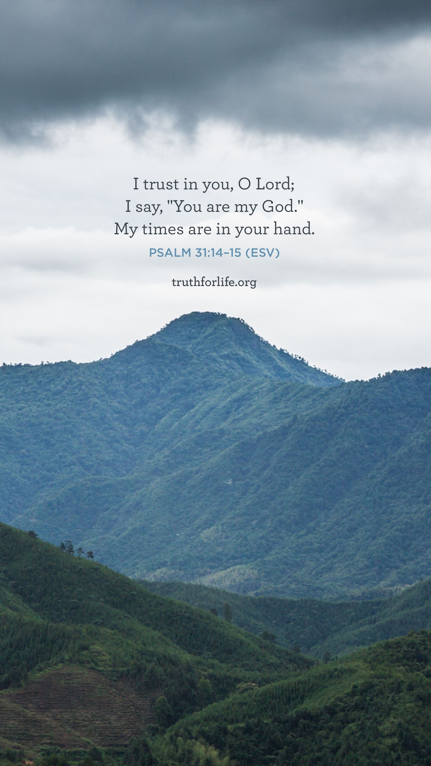 1440x2560 Trust: Wallpaper