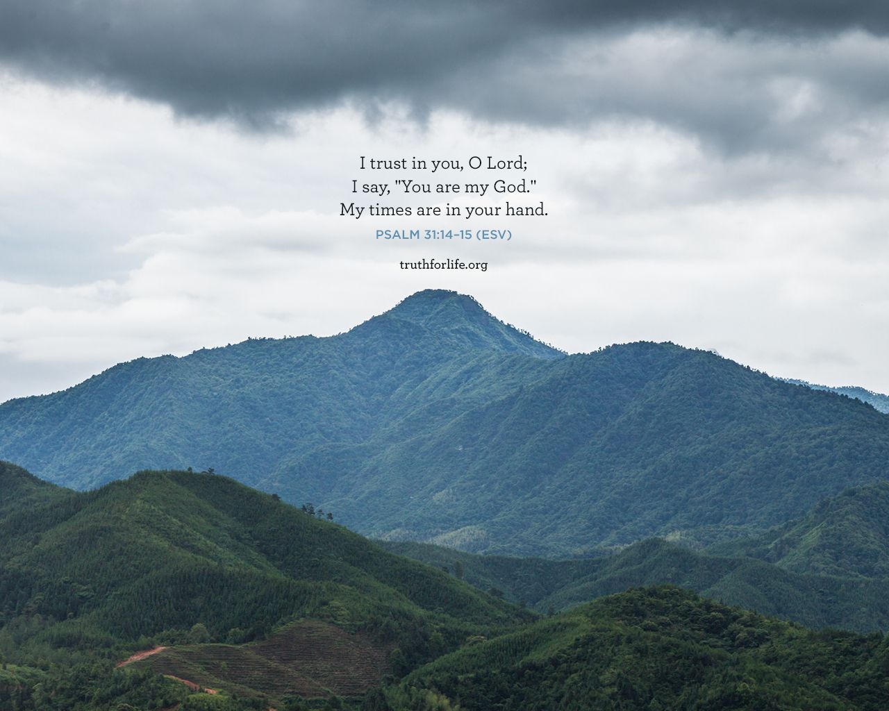 1280x1024 Trust: Wallpaper