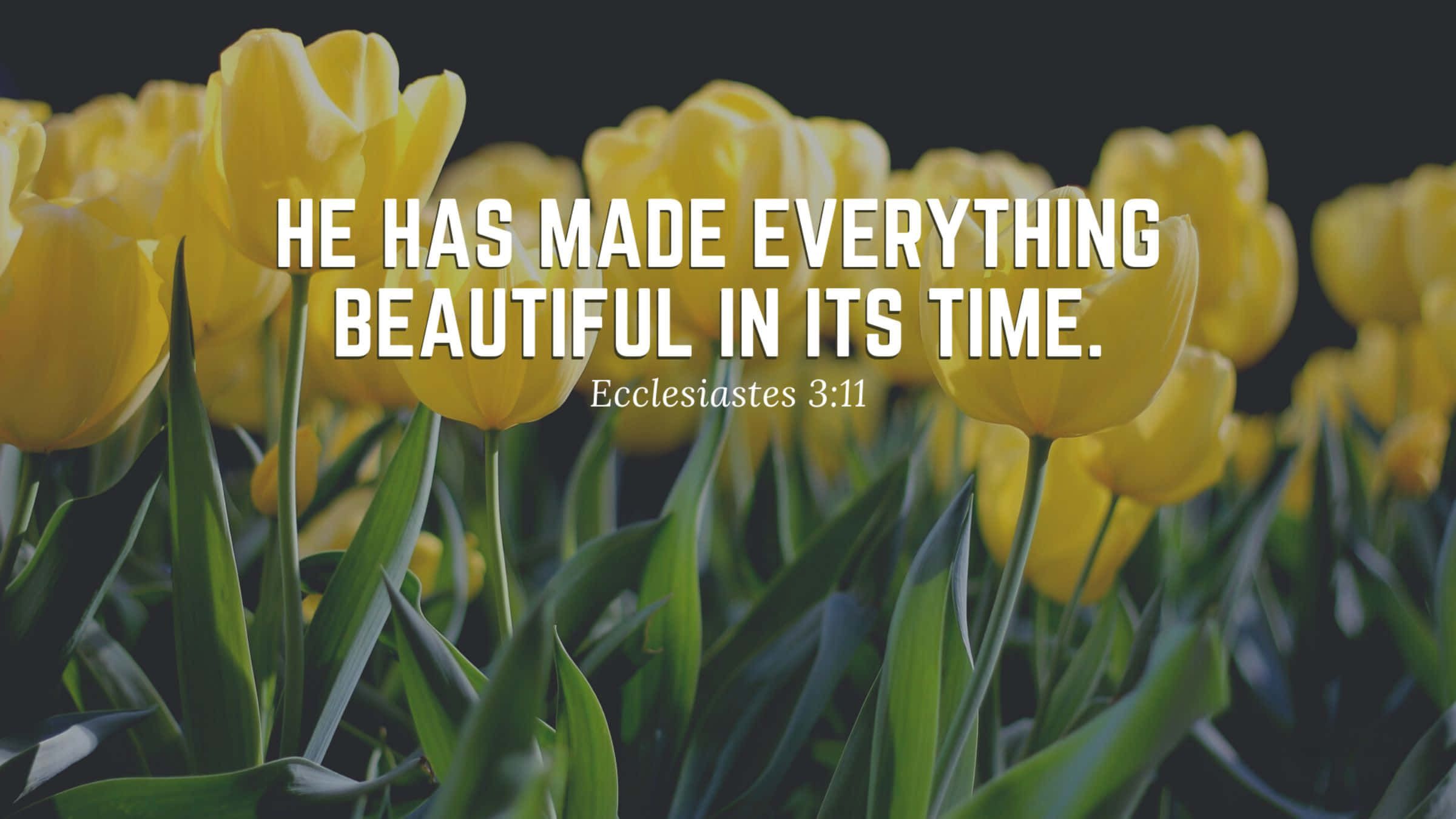 2400x1350 Trust In The Lord With All Your Heart And Lean Not On Your Own Understanding. Wallpaper