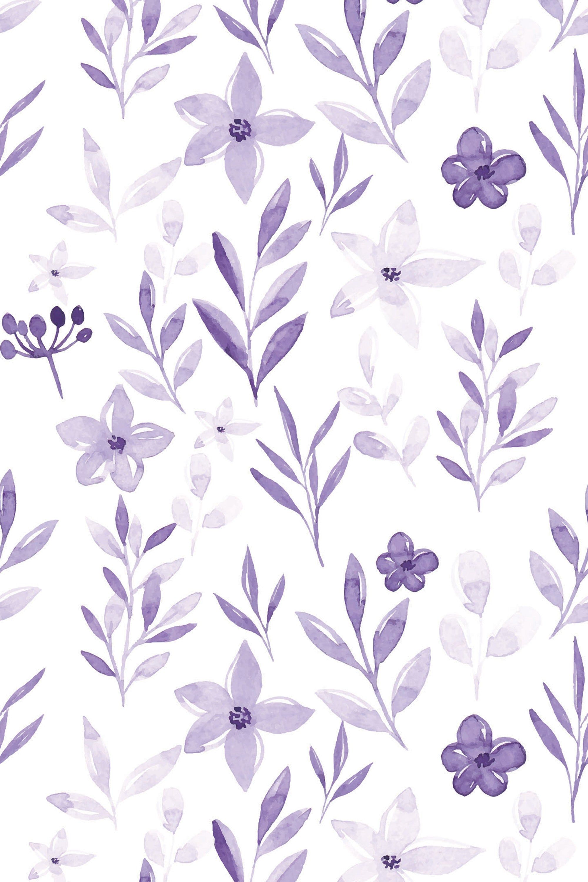2000x3000 Violet botanical Wallpaper (Sample