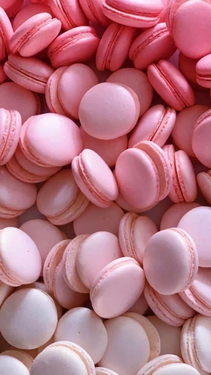 736x1308 Pink aesthetic, pink vibes, pink wallpaper, pink background, wallpaper background, pink wallpaper