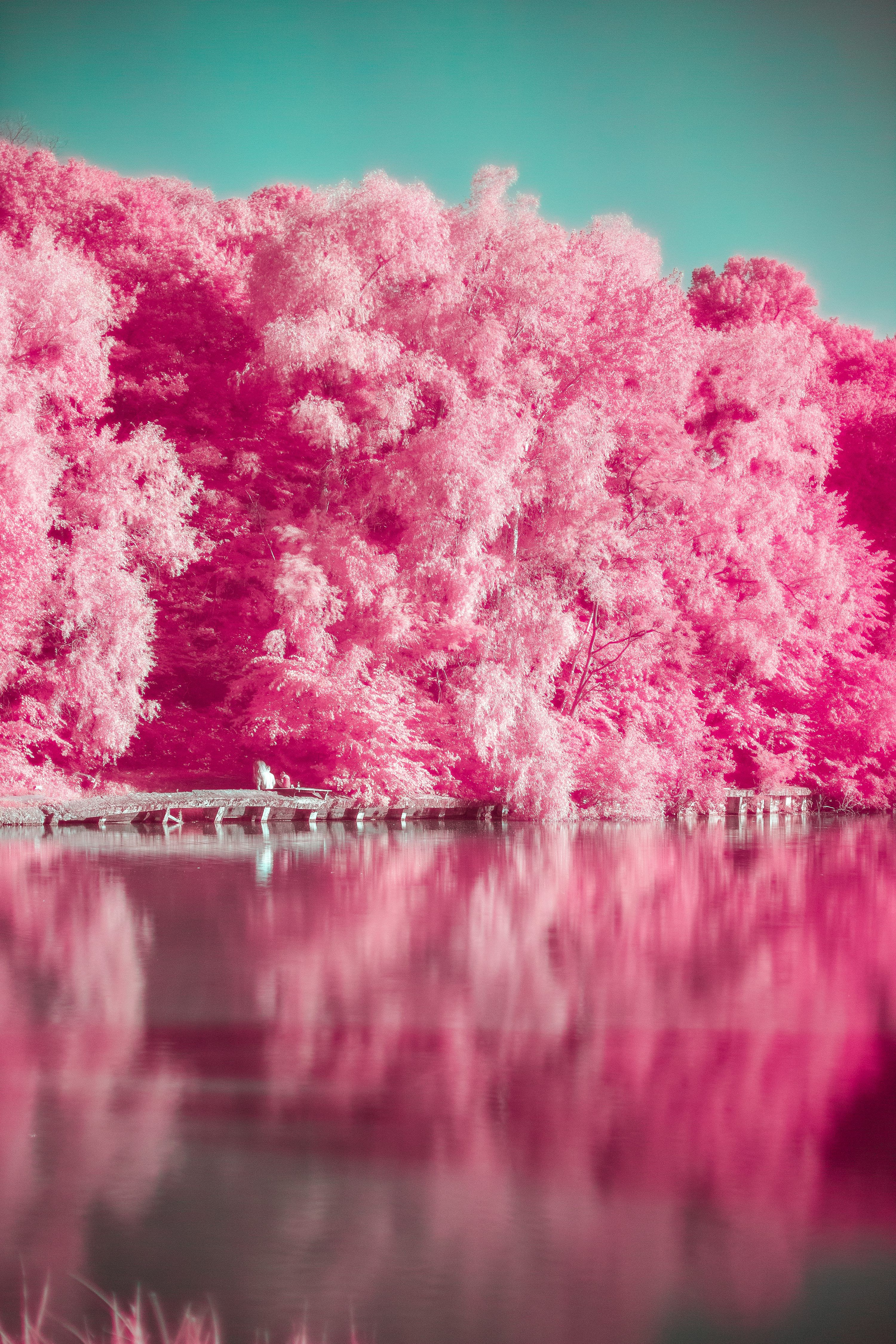 3000x4500 Pink Vibes Picture. Download Free Image