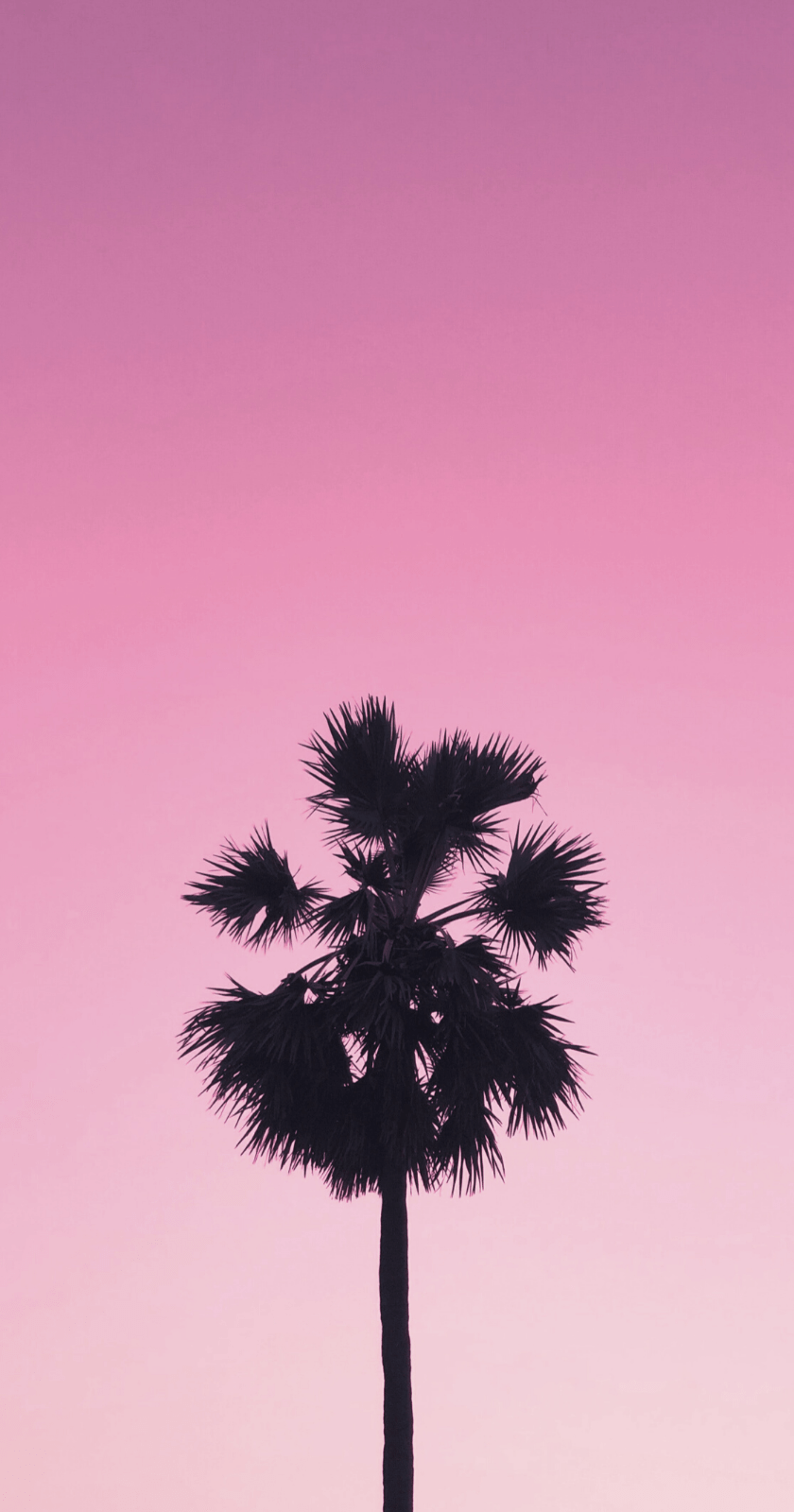 840x1600 Pink Vibes Wallpaper