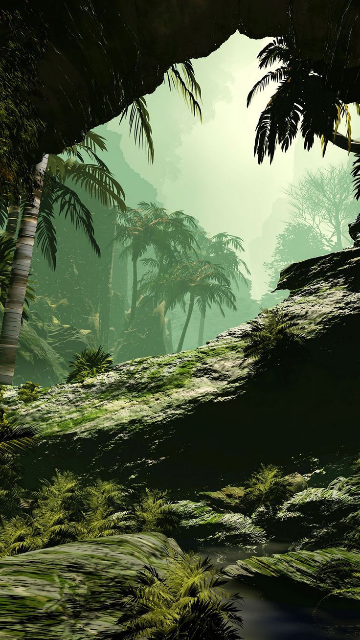 736x1308 See my collection of enchanting iPhone and android palm tree wallpaper and background image in high definition instant access FREE! #palmtree #green #smartphone #screensaver #wallpaperideas #phone #wallpaper #background #mobile #iphone #