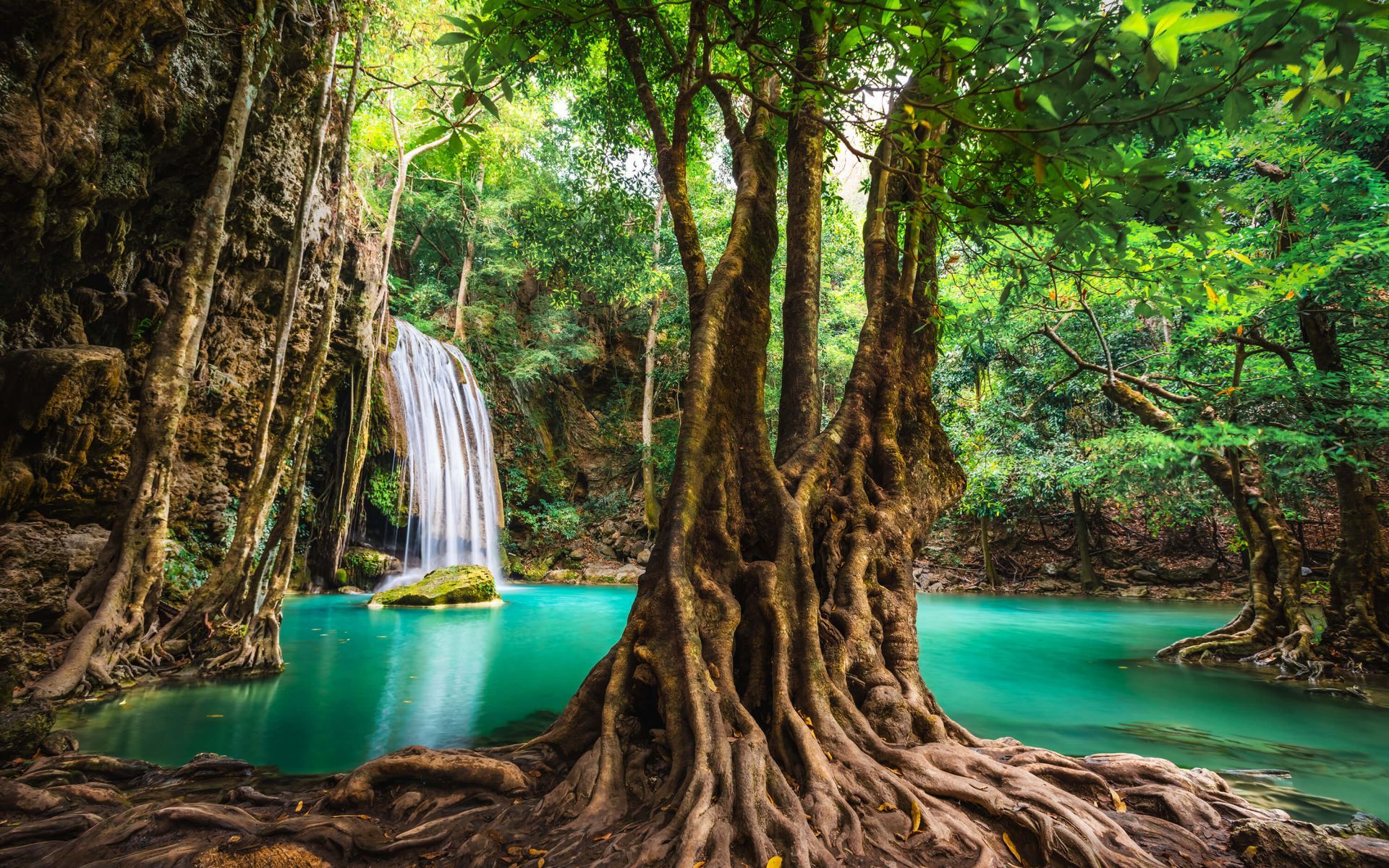 1920x1200 Waterfall in tropical jungle