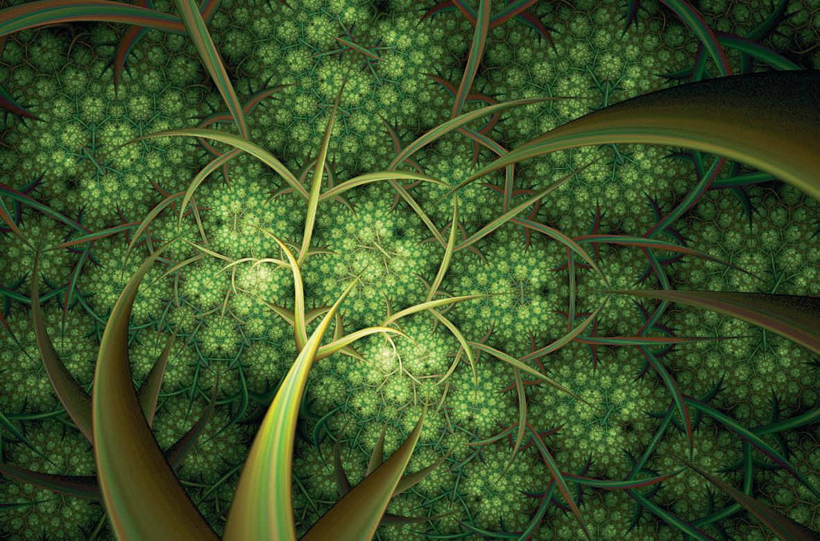 1182x780 THE TREE VINCI CODE. Muse Science Magazine for Kids this story on