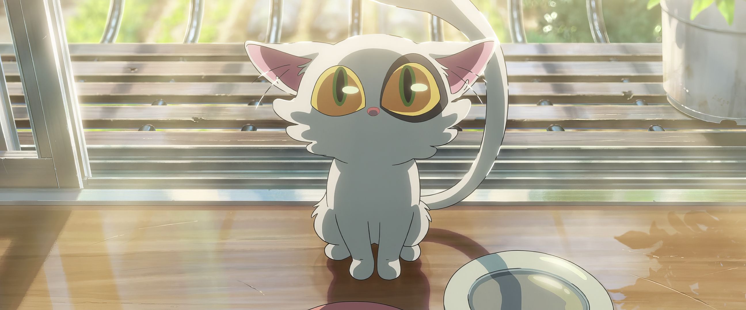 2592x1080 Suzume no Tojimari Anime Cat HD Wallpaperx1080